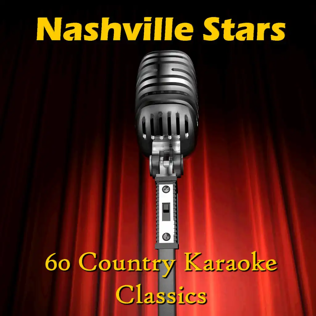 American Honky Tonk Bar Association (Karaoke With Background Vocals)[In the Style of Garth Brooks]