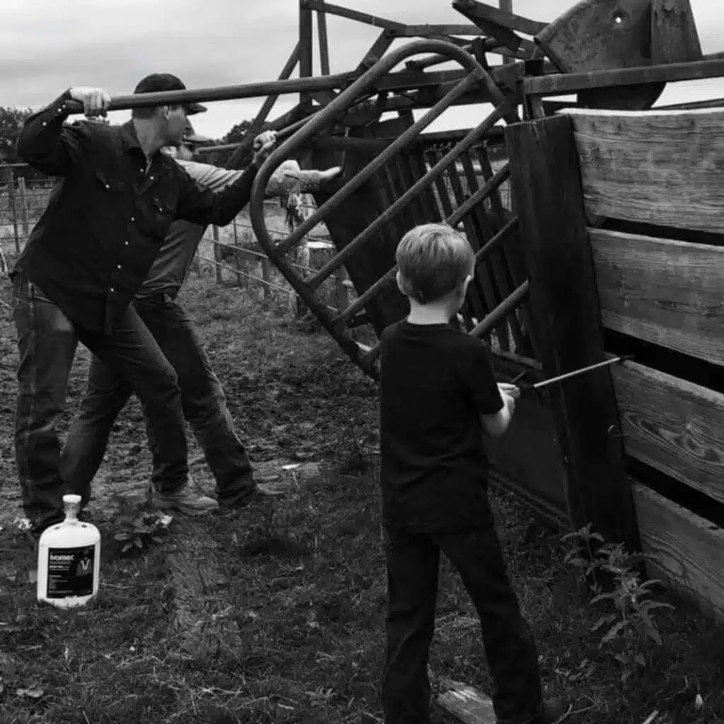 Co-Parenting with Katie