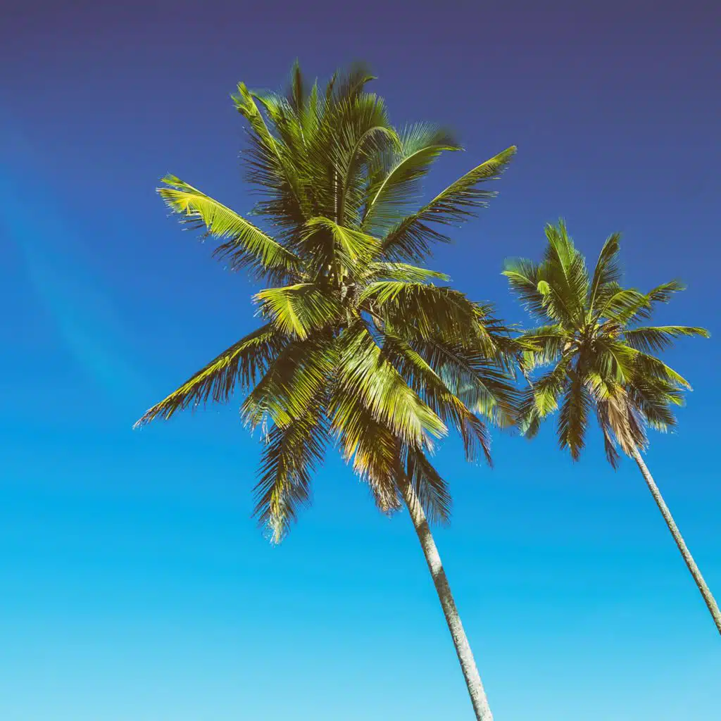 Way Down We Go (Acoustic Mix) [feat. Sphere]