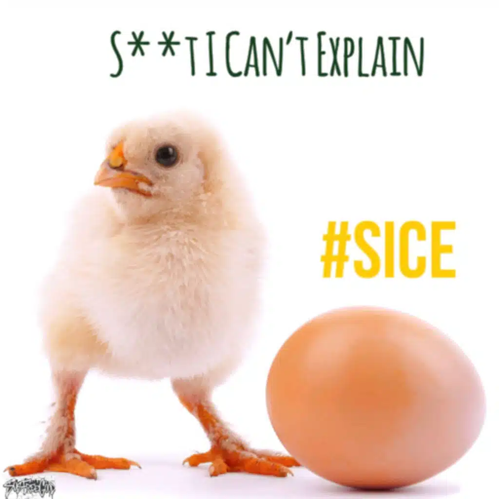 Ep. 8 #SICE Having Kids Over 30 and missed opportunities.