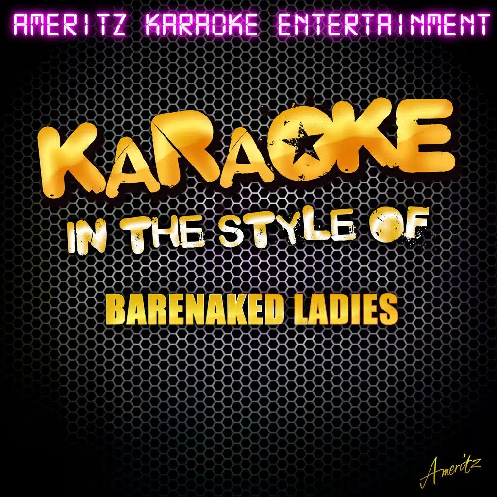 Karaoke (In the Style of Barenaked Ladies)