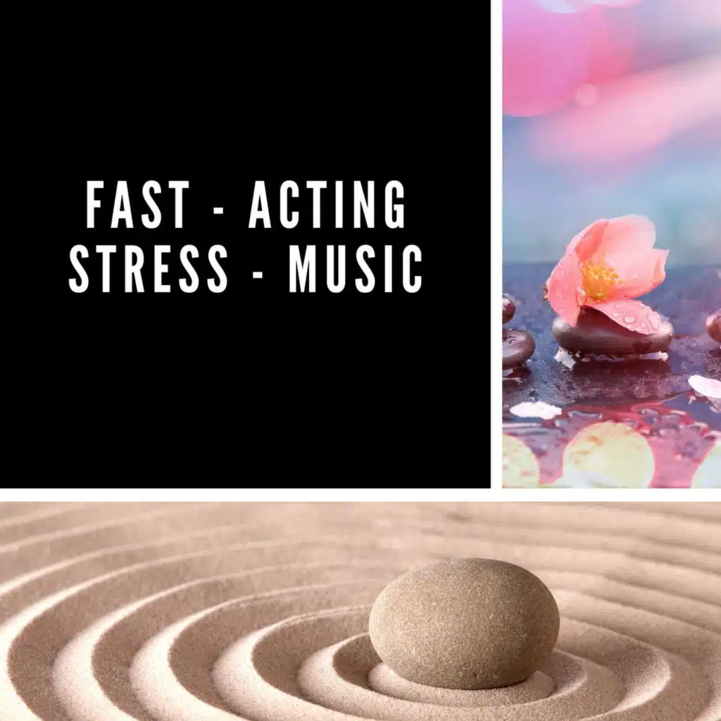 Goodmorning Relax, Zoe Chambers, Relaxing Muzic & Meditation Relaxation Club