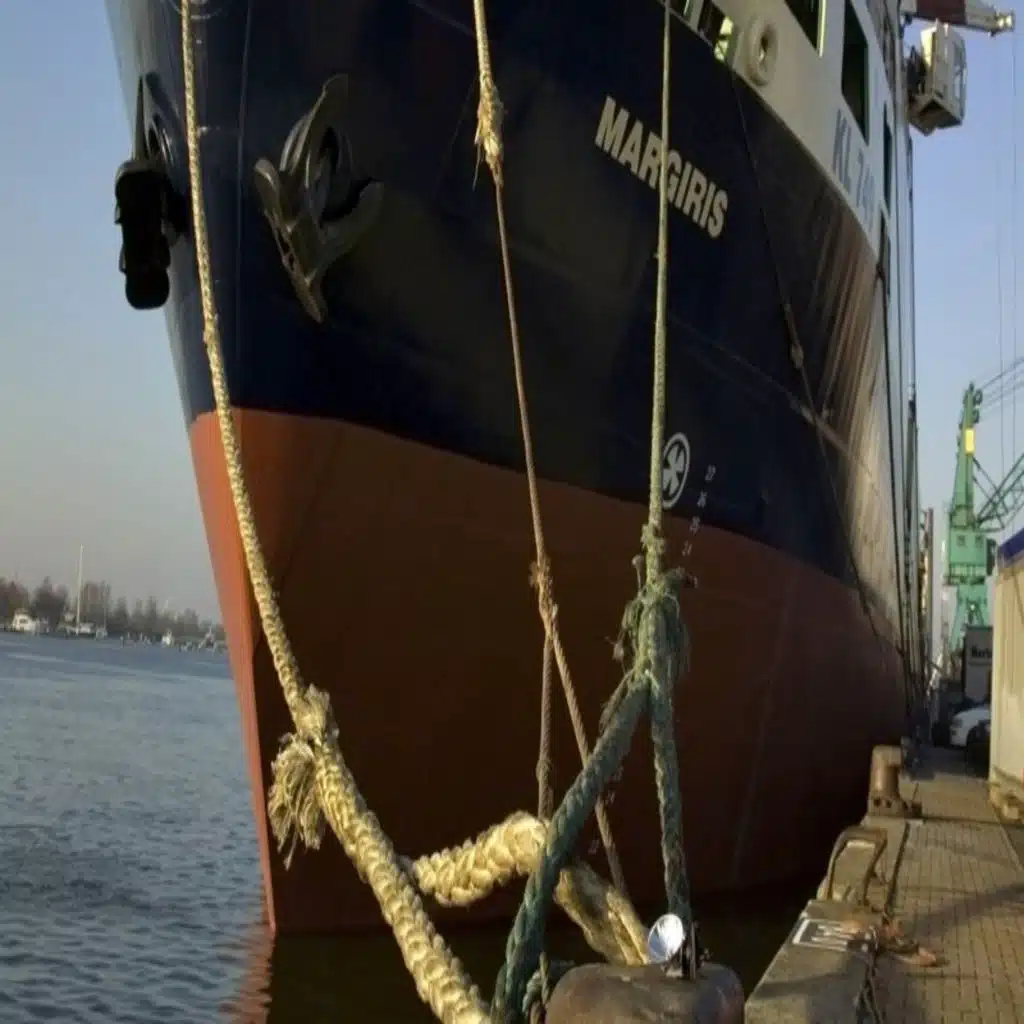 Beachcombing and Super Trawlers