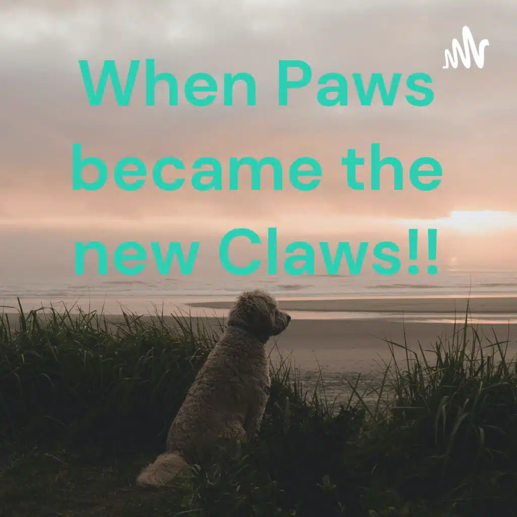 When Paws became the new Claws!!