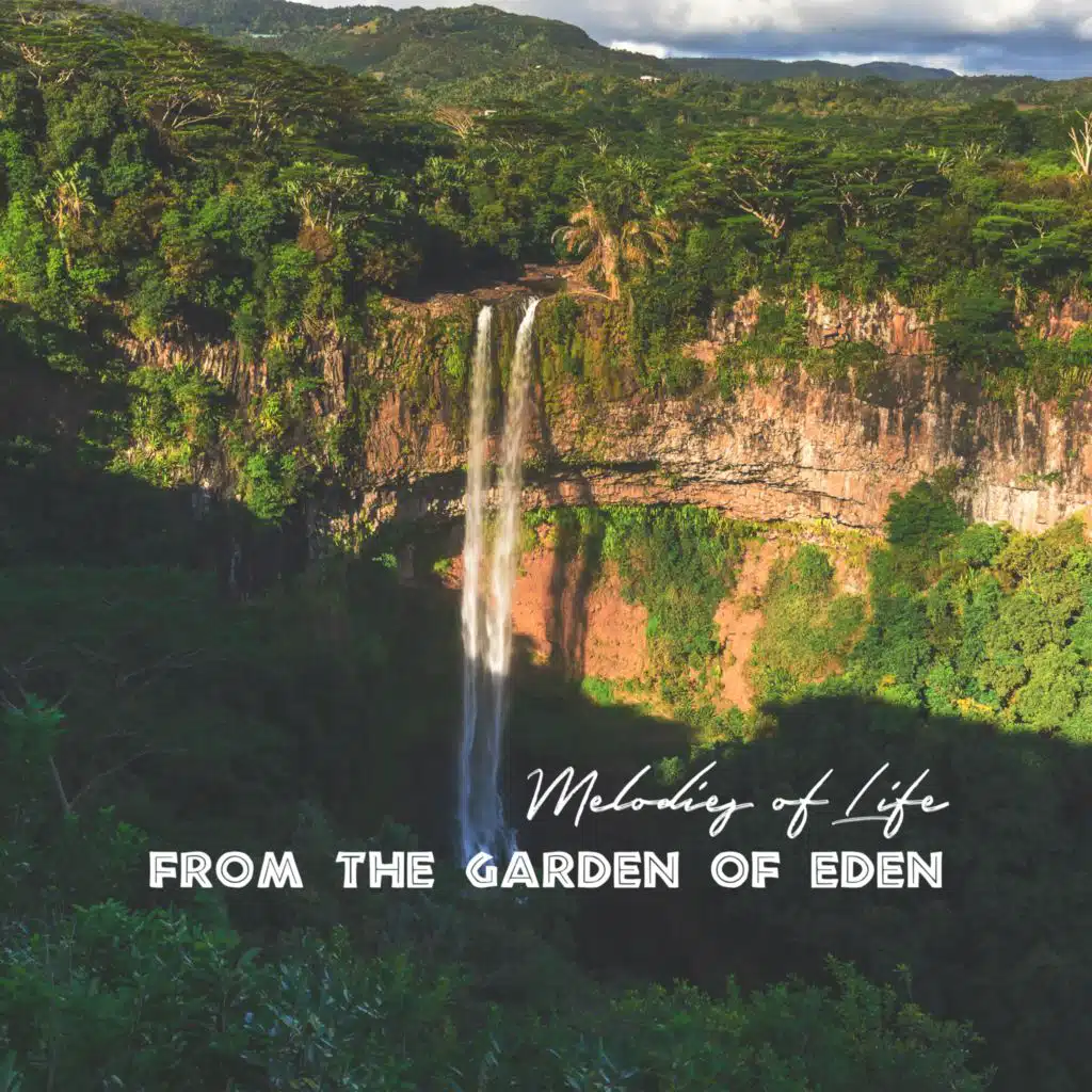 Harmonic Drift of Life from the Garden of Eden