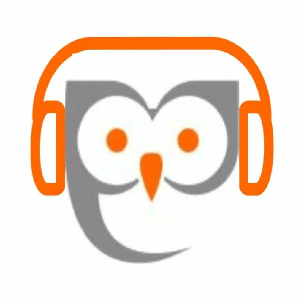 41 Zeg het in het Nederlands