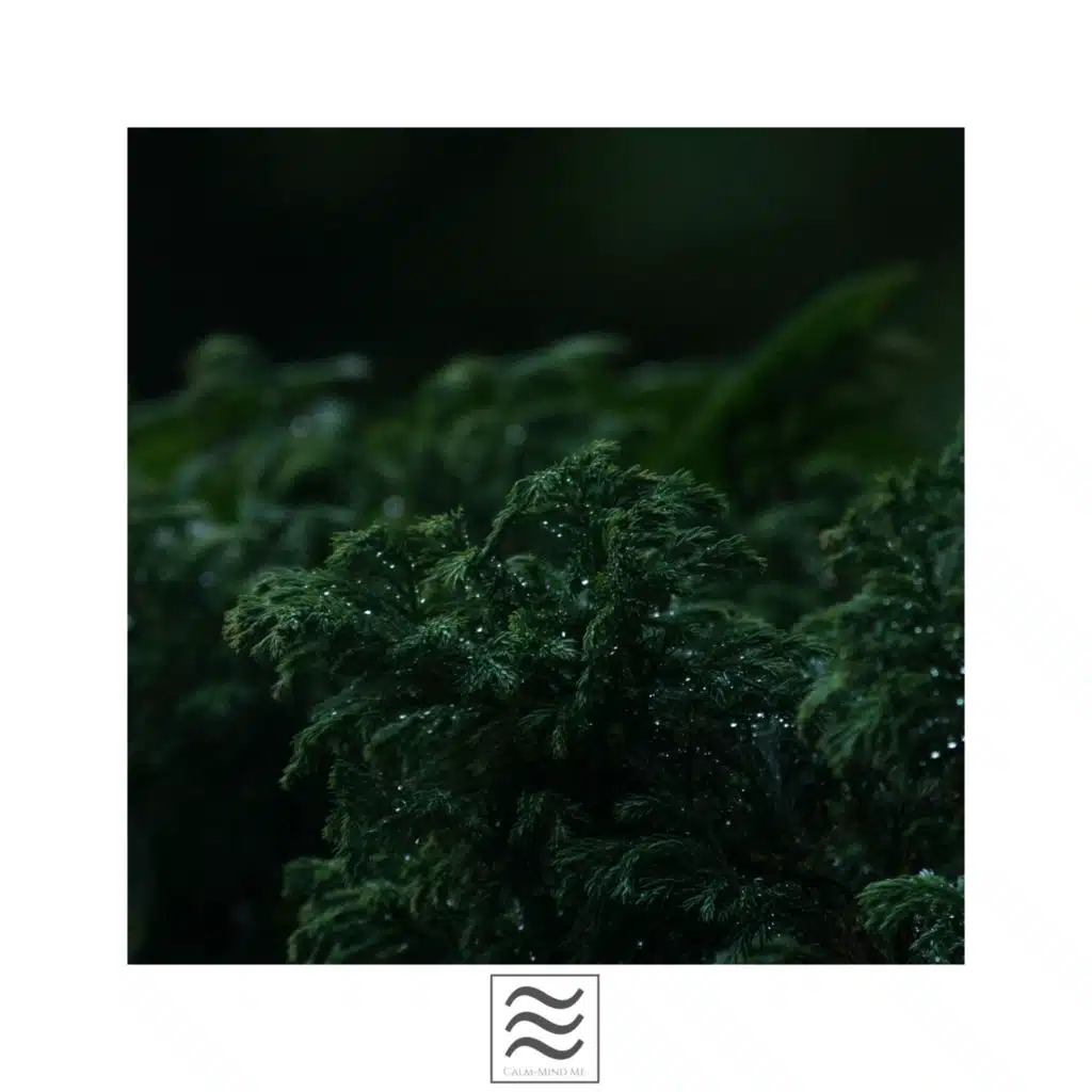 Relaksujące Dźwięki Deszczu