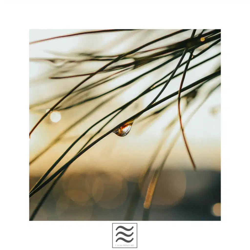 Codzienny relaks przy dźwiękach deszczu