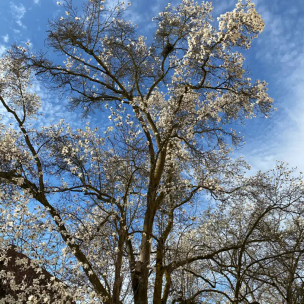 Start des Kuraufenthalts