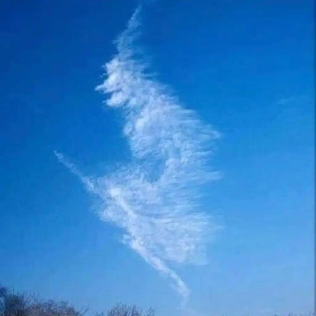 die Weisheit der Hexe...