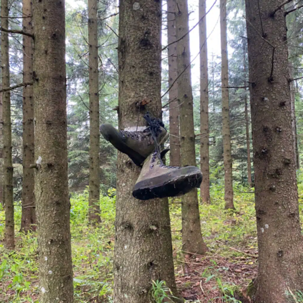 Benehmen am Berg, Schulbeginn und John hat eine Freundin…