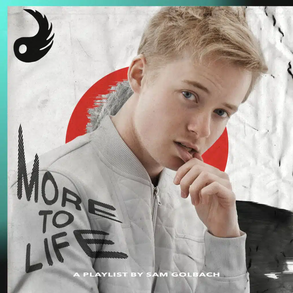 More to Life by Sam Golbach