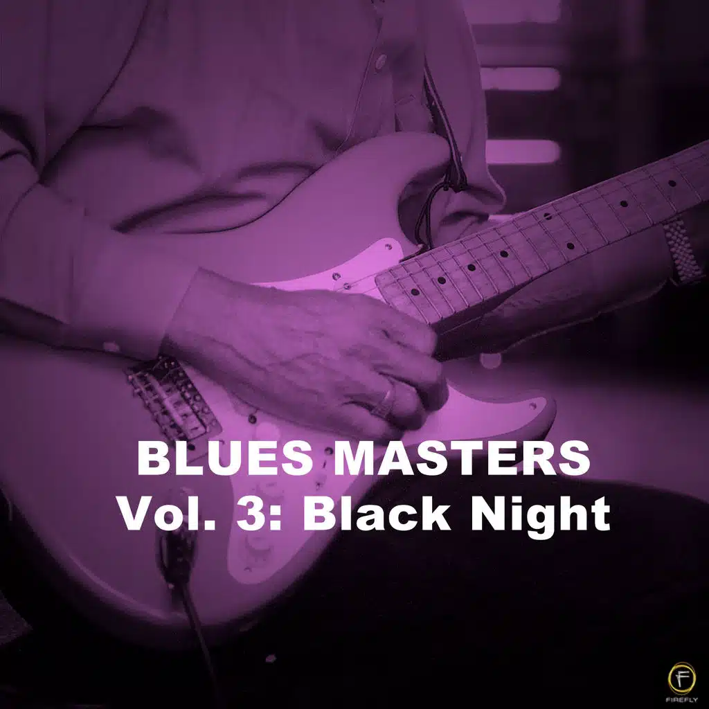 Little Walter & His Night Cats