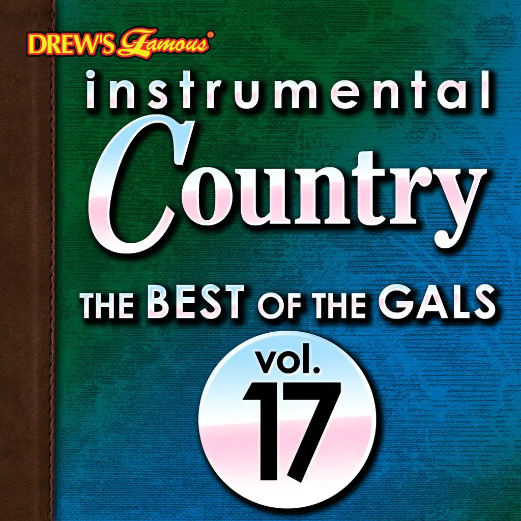Instrumental Country: The Best of the Gals, Vol. 17