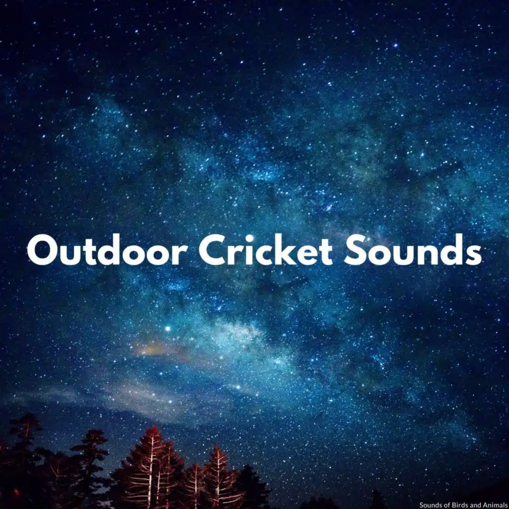 Sounds of Birds and Animals