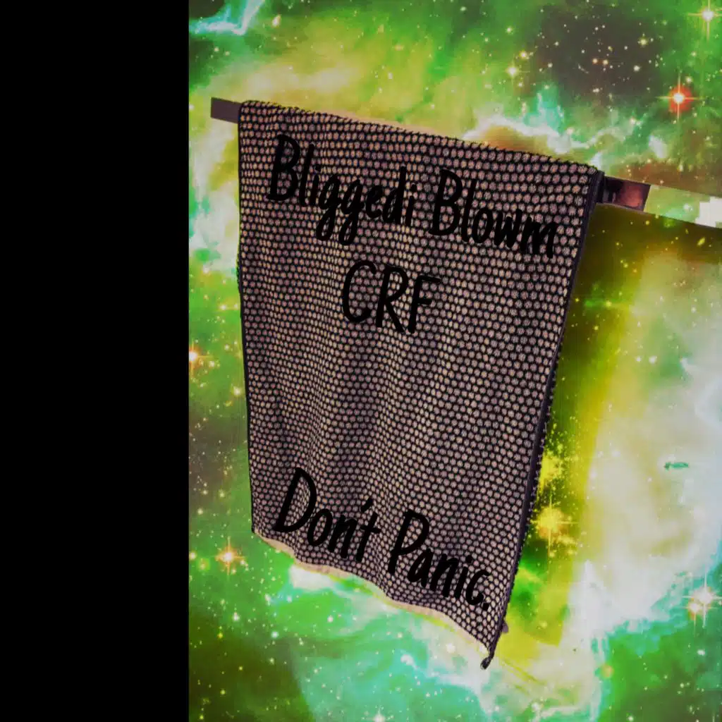 Don't Panic (A Capella)