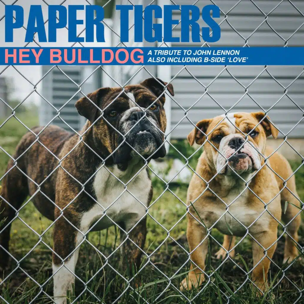 Paper Tigers