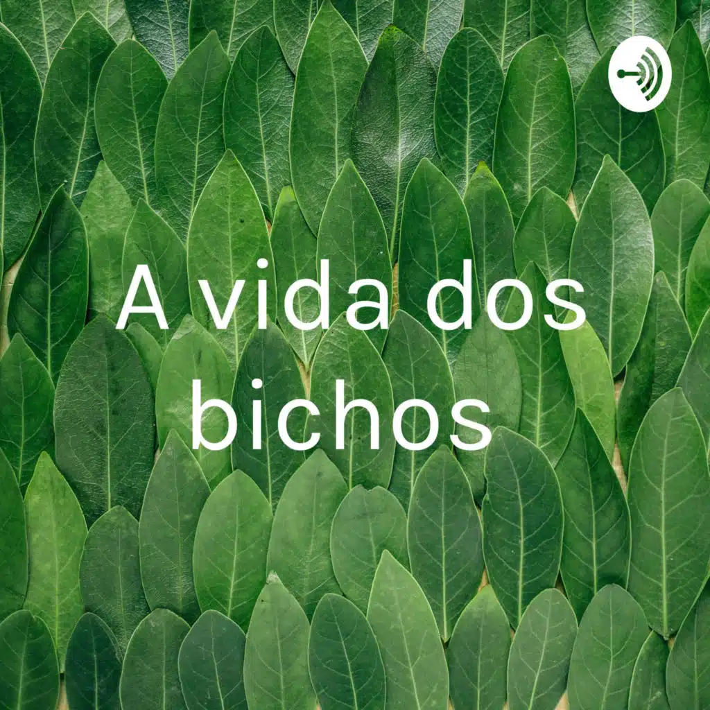 A vida dos bichos
