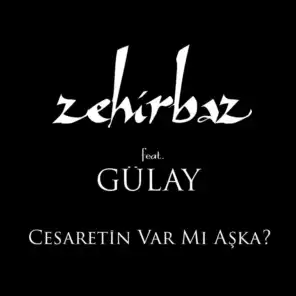 Cesaretin Var mı Aşka? (feat. Gülay)