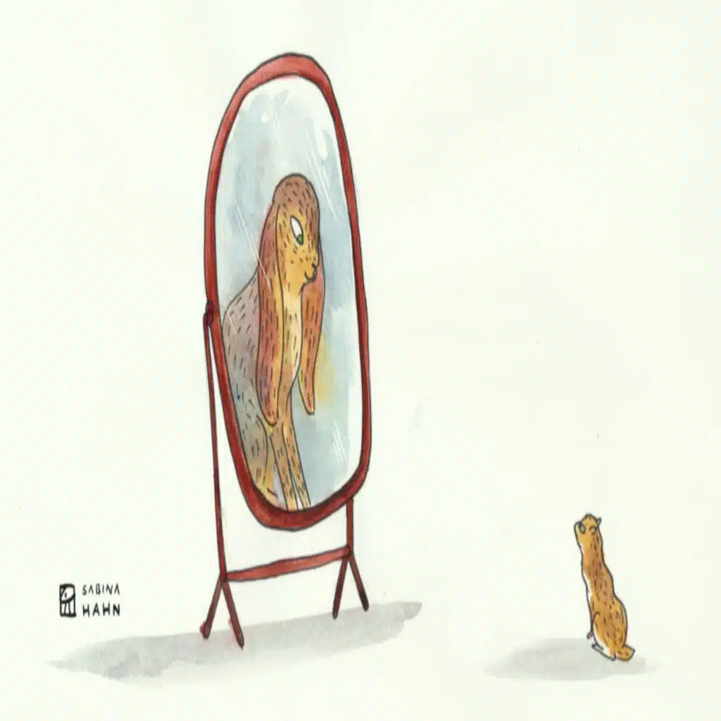 Encore: Rabbit's Wish