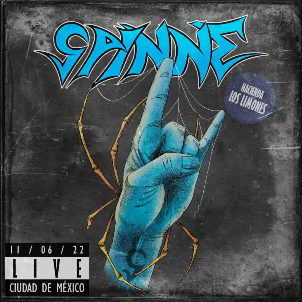 The Old Yellow (Live) (Live)