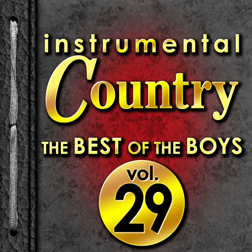 Instrumental Country: The Best of the Boys, Vol. 29