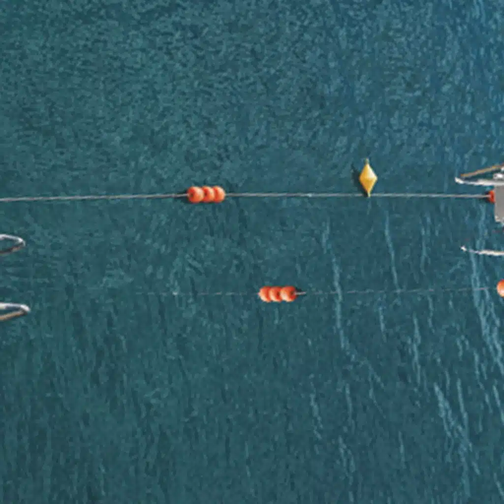 Pleasure Voyage & Tilman