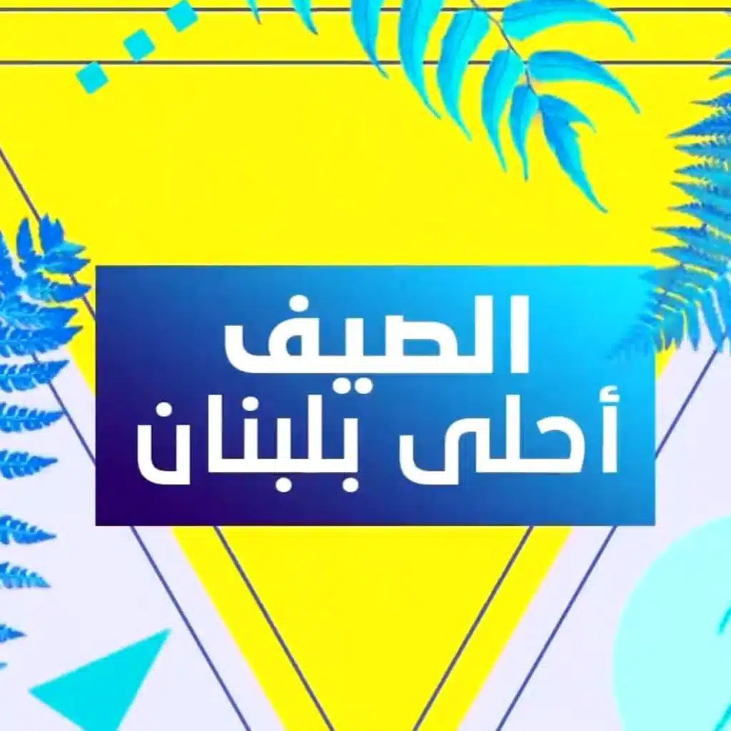 مهرجانات القبيات 2019 - ملحم زين