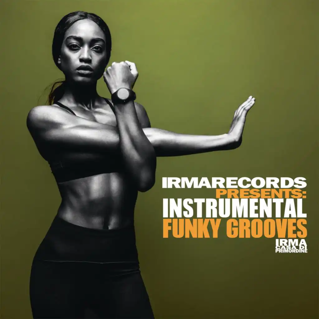 Instrumental Funky Grooves (IRMA Records presents)