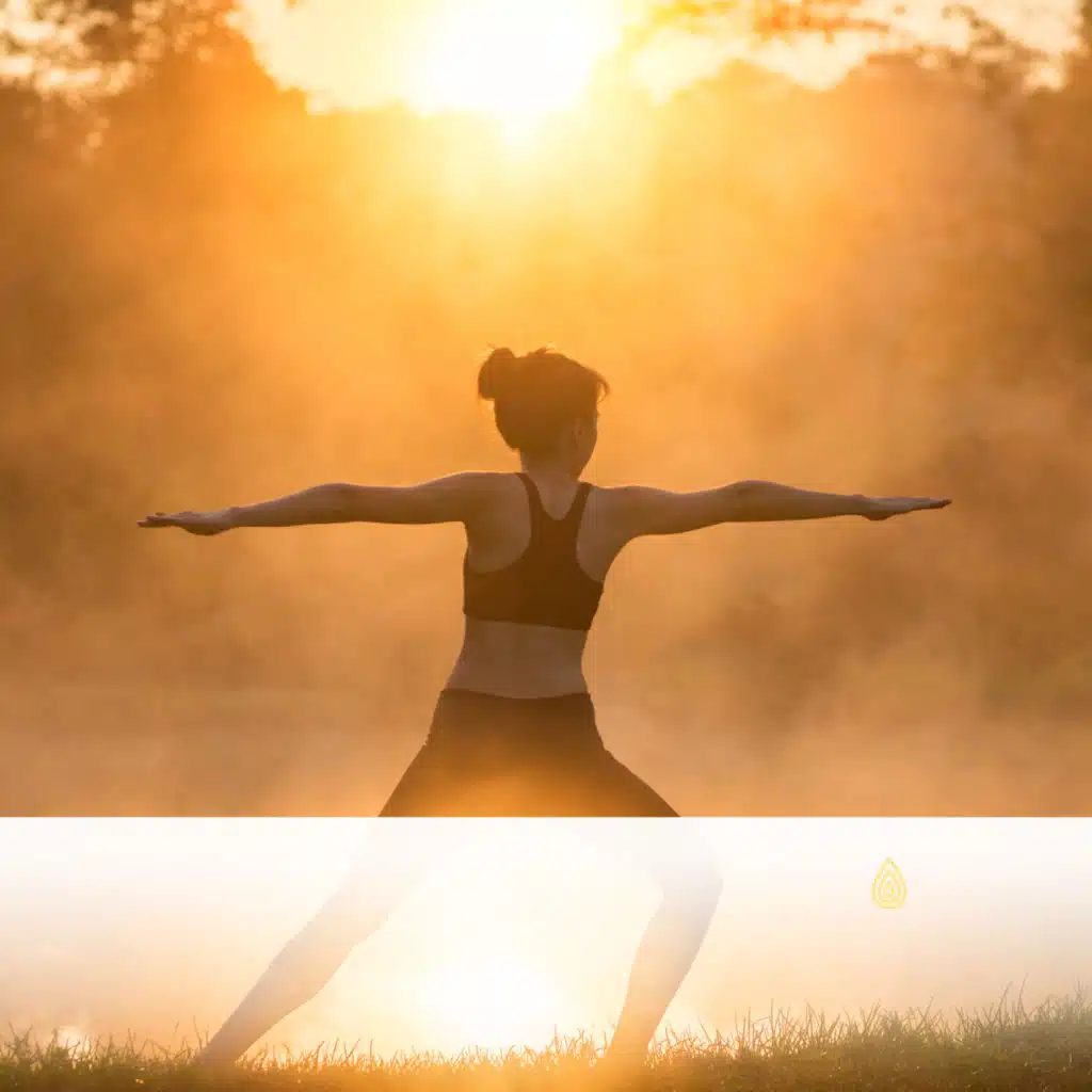 Musique Bouddhiste de la Pleine Conscience de l'Eau