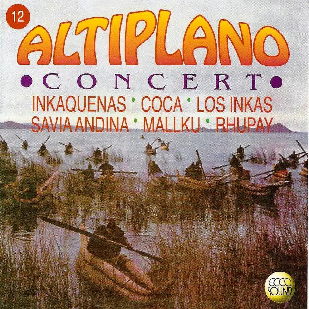 Altiplano Concert