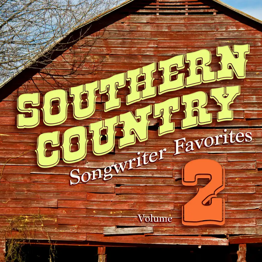 Southern Country Songwriter Favorites, Vol. 2