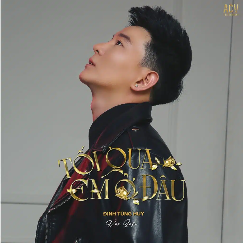 Tối Qua Em Ở Đâu (VUX Lofi)