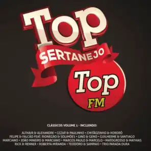Top Sertanejo: Top 104,1 Fm Clássicos, Vol. 1