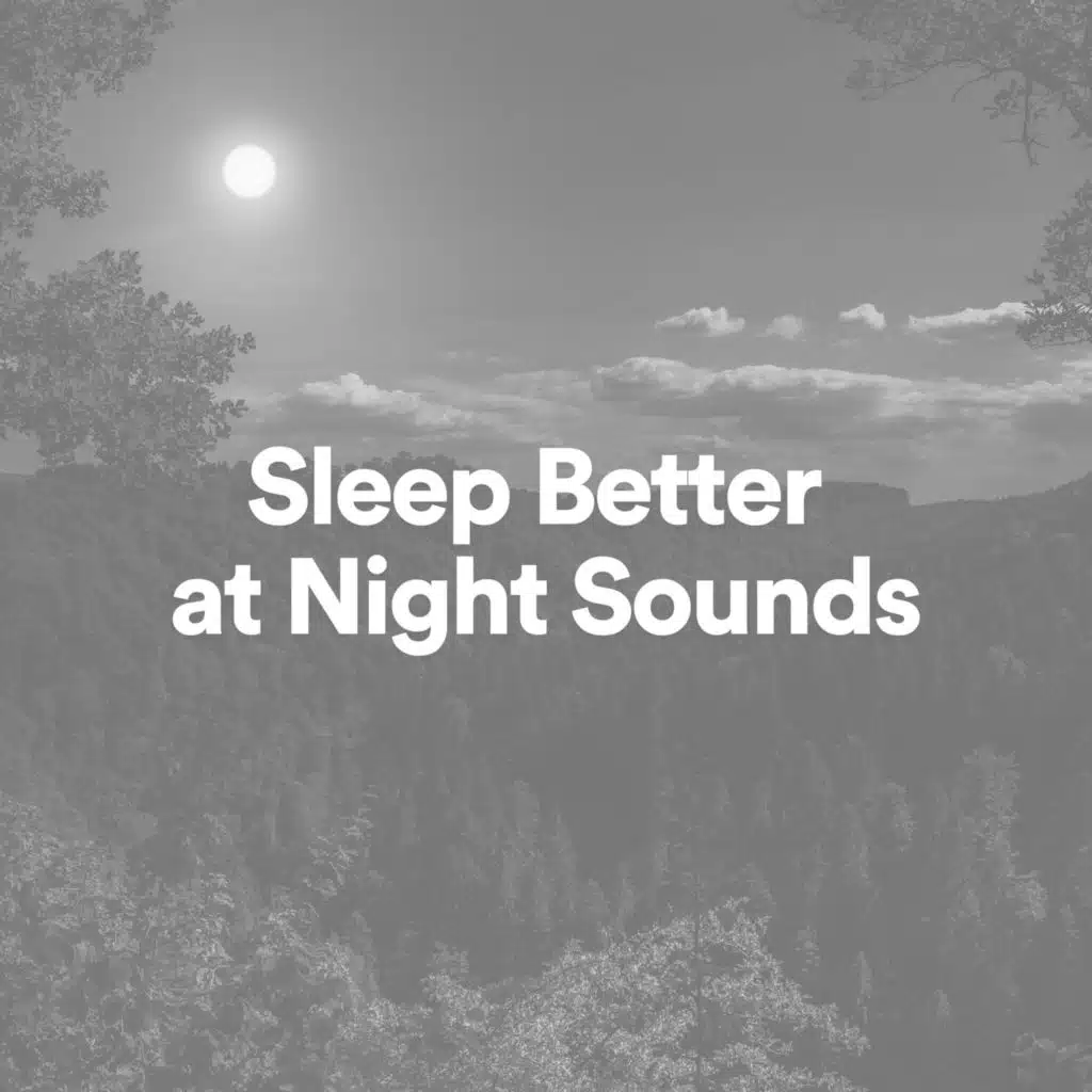 Sleep Better at Night Sounds, Pt. 10