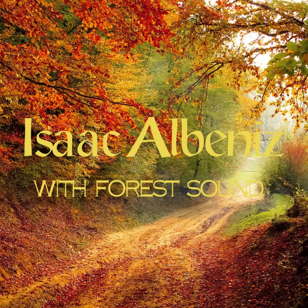 자연의 소리와 함께 듣는 잔잔한 클래식 피아노