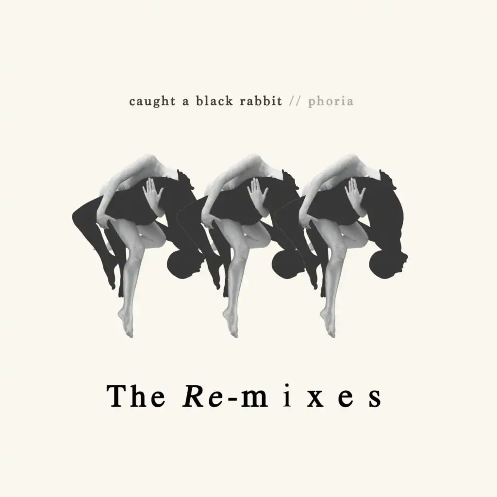 Robin's Cello (Turtle Remix)