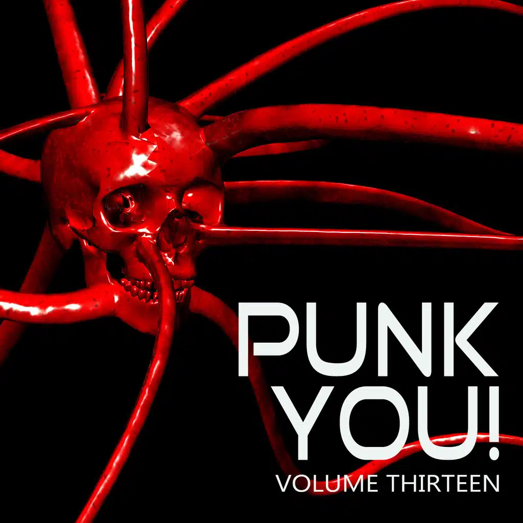 Punk You, Vol. 13