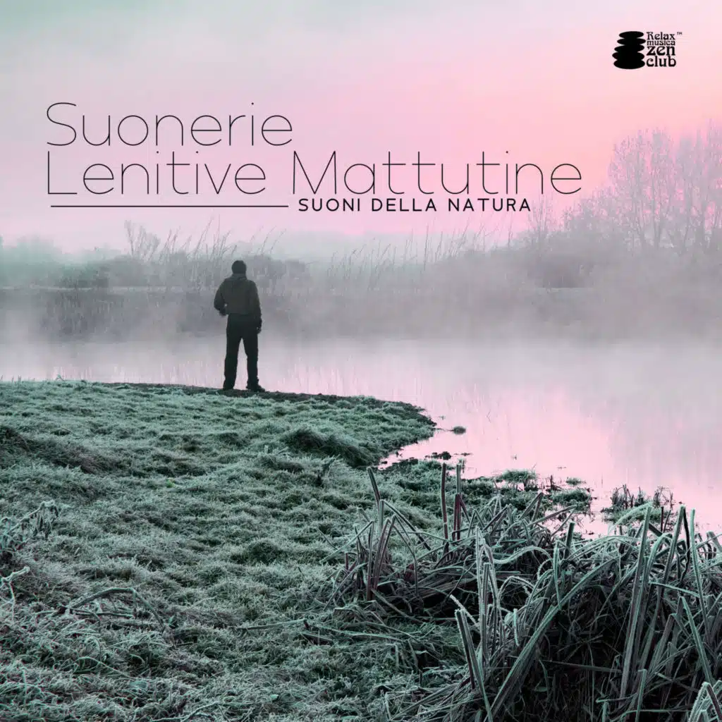 Angoli della Galassia