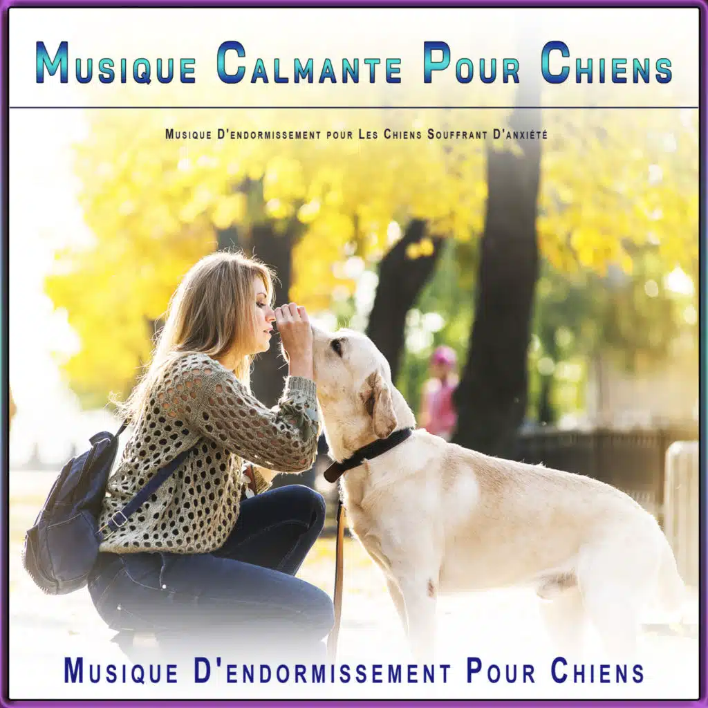 Musique Relaxante pour L'anxiété Des Chiens