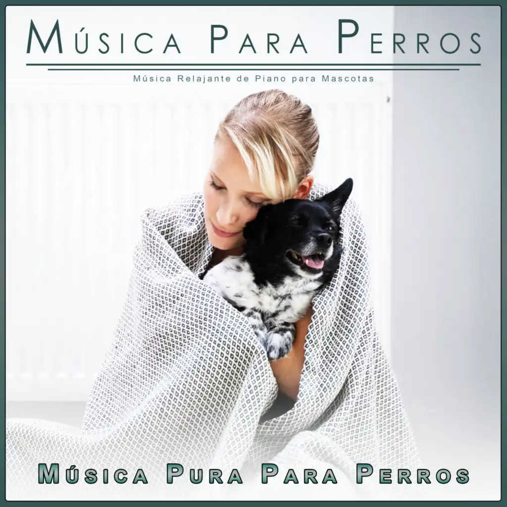 Música Para Perros, Colectivo De Música Para Perros & Música Pura Para Perros