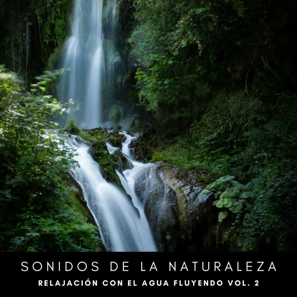 Sonidos De La Naturaleza: Relajación Con El Agua Fluyendo Vol. 2