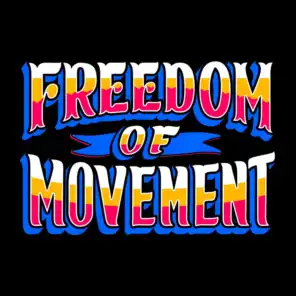 Freedom Of Movement (Carwyn Ellis & Rio 18 Remix)