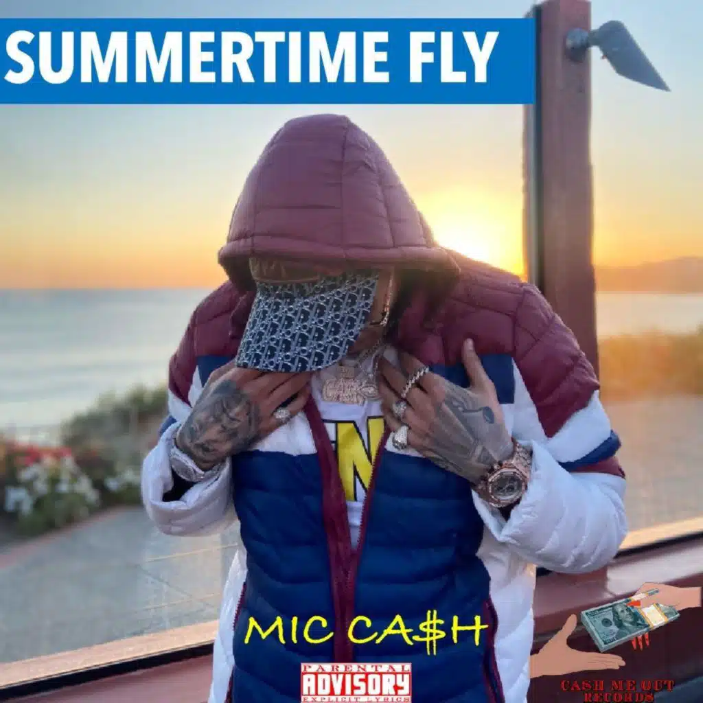 SUMMERTIME FLY
