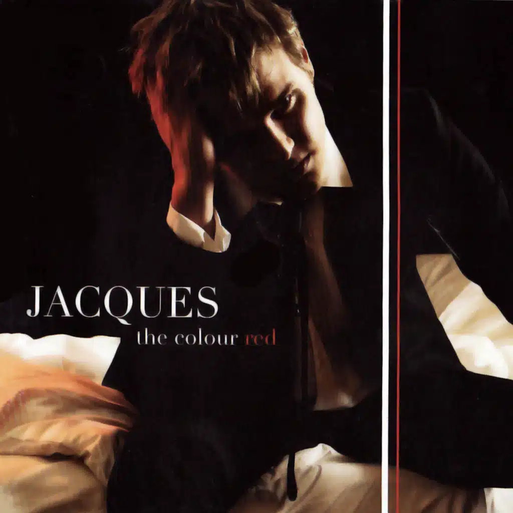 I Won't Forget (2-4 Grooves Remix)