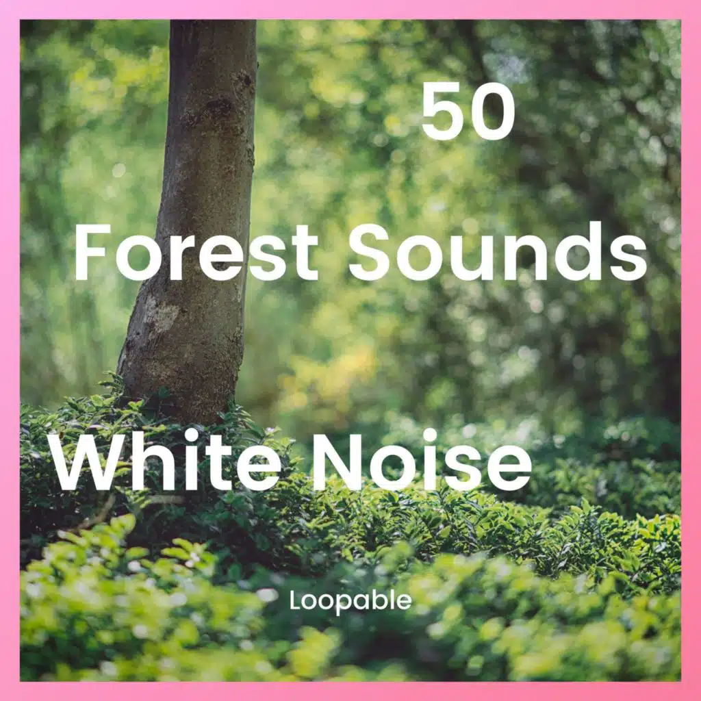 Birds Above the Stream, White Noise (Loopable)