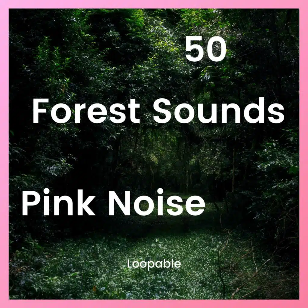 50 Forest Sounds to Relax with Pink Noise, Loopable