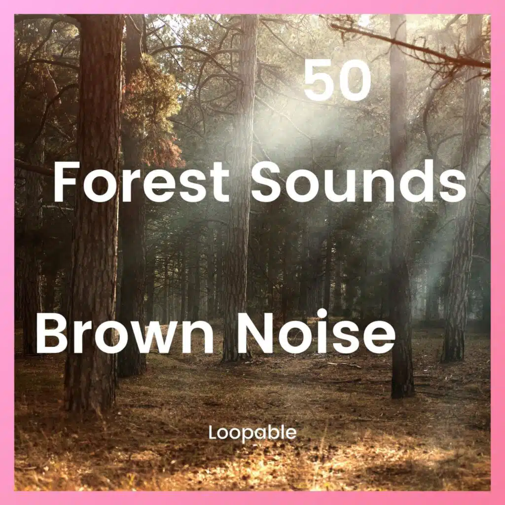 50 Forest Sounds to Relax with Brown Noise, Loopable