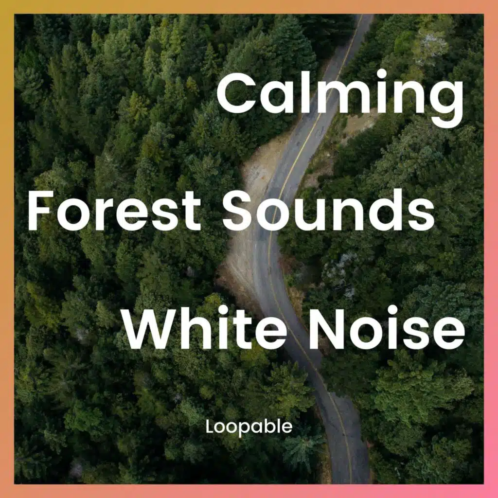 Calming Forest Sounds with White Noise, Loopable