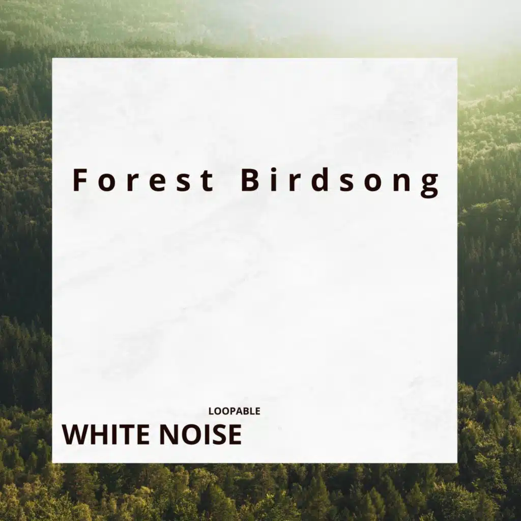 Forest Birdsong with White Noise, Loopable